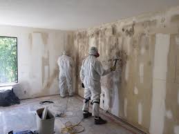 Trusted Rosemead, CA Mold Inspection Experts